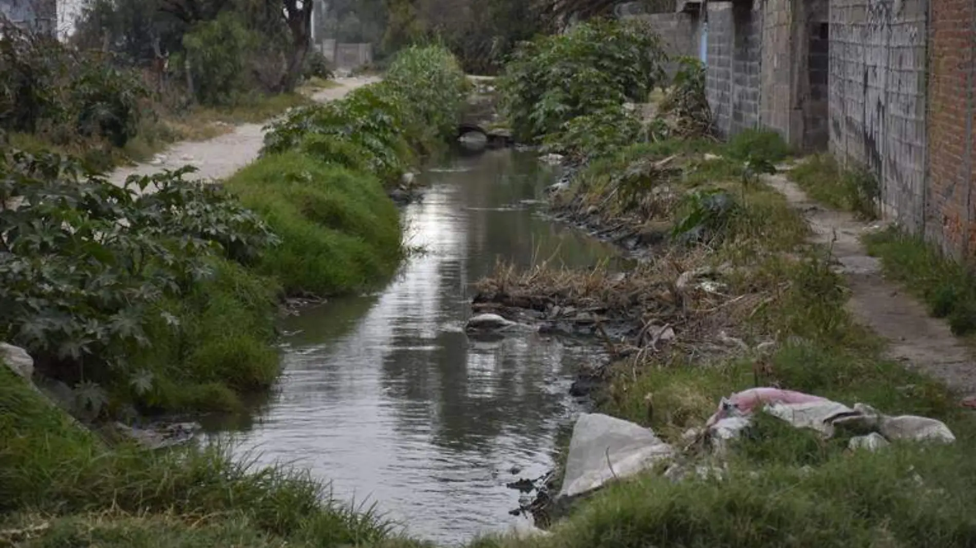 agua aguas negras agua contaminadas aguas contaminadas agua negra negras contaminación contaminacion